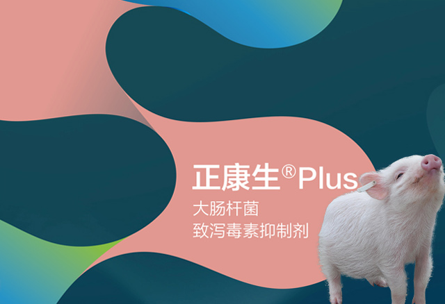 正康生?Plus