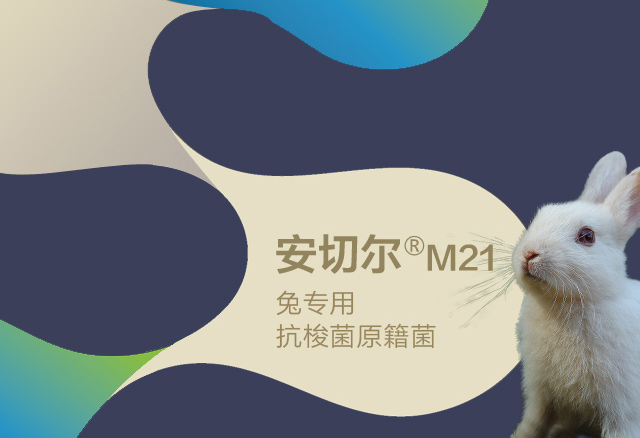 安切爾?M21