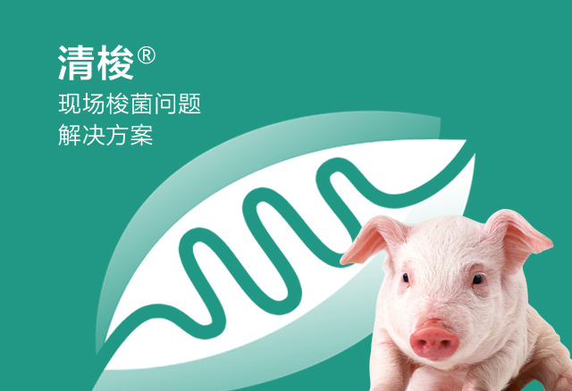 清梭（豬用）