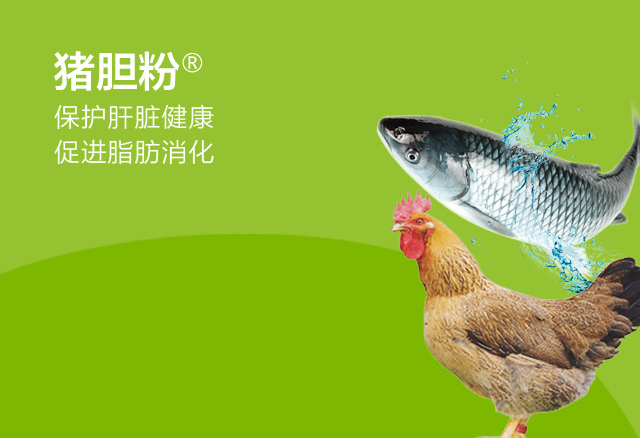 豬膽粉